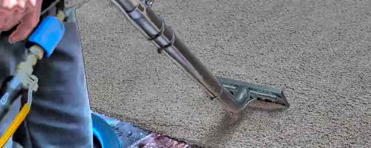 Best End of Lease Carpet Cleaning Blue Mountains